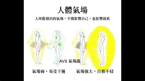 氣場儀|AVS氣場儀設計原理